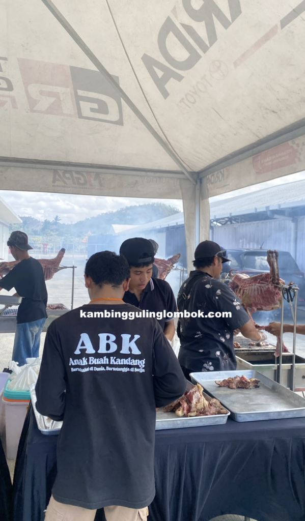 KAMBING GULING LOMBOK 1