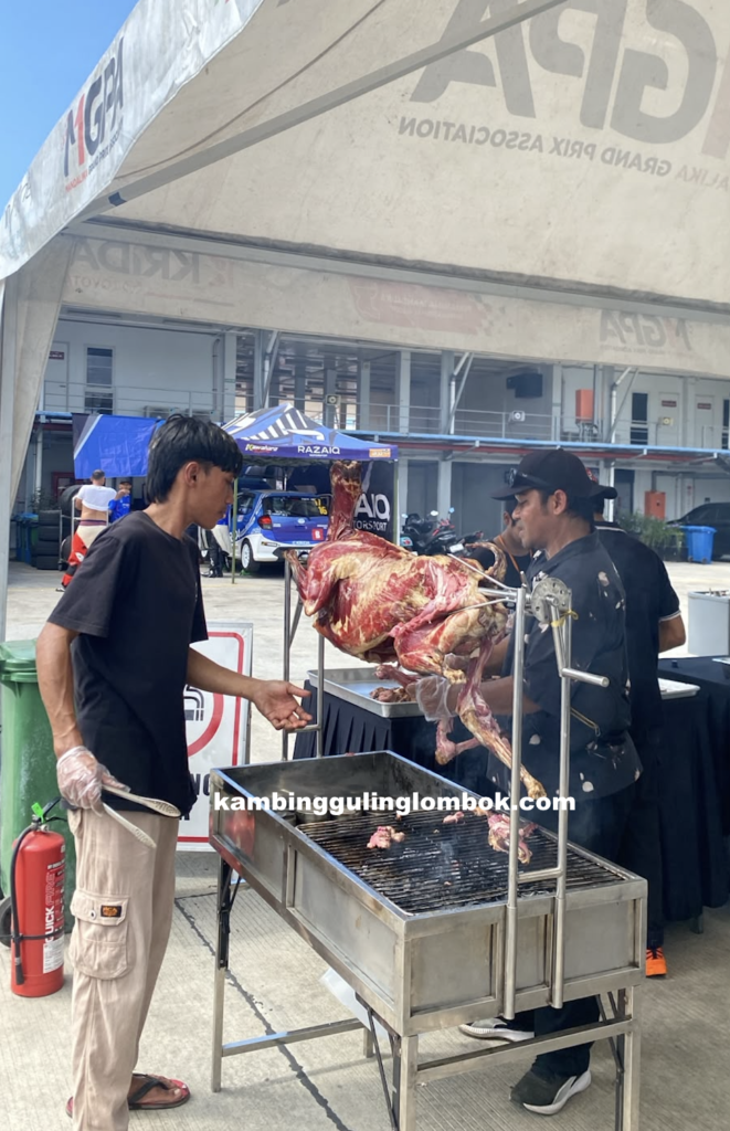 KAMBING GULING LOMBOK 2