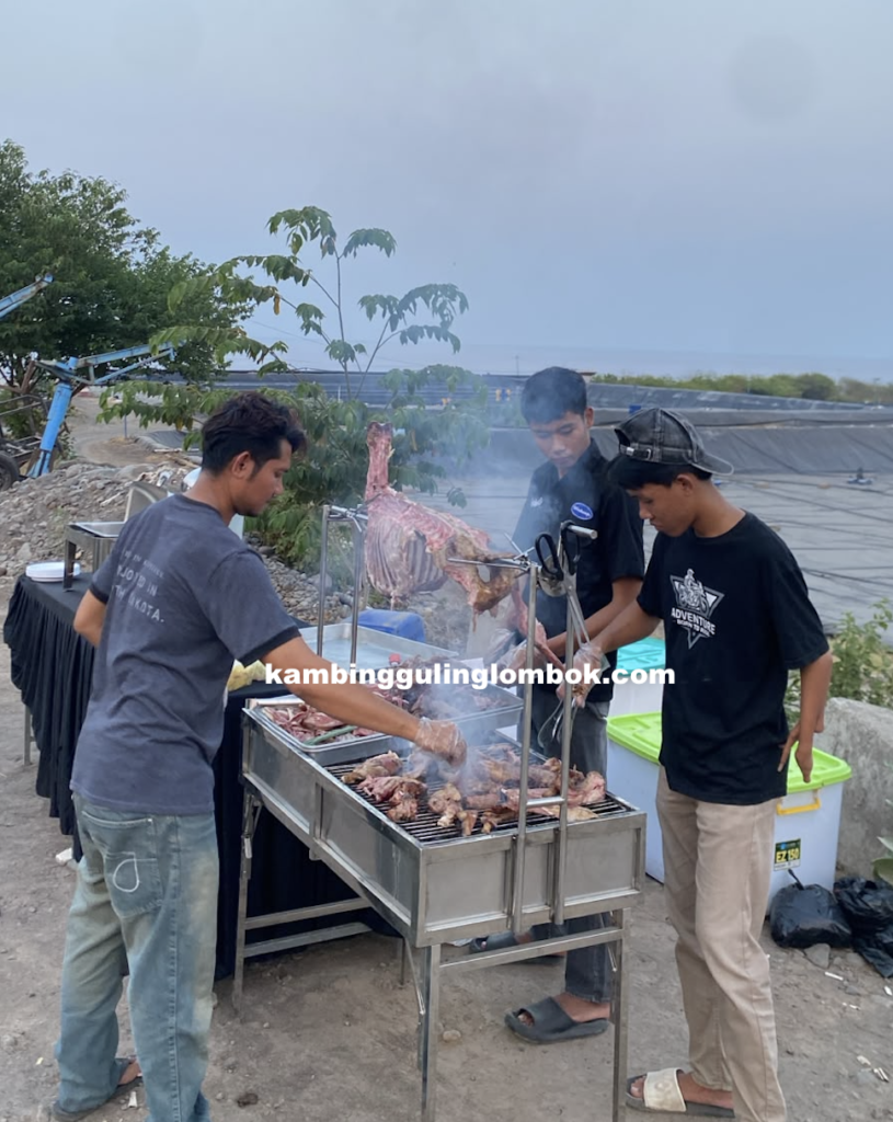 KAMBING GULING LOMBOK 5