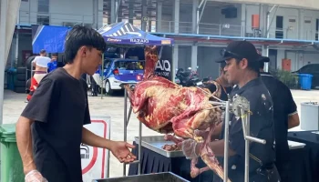 KAMBING GULING LOMBOK 2-dikonversi-dari-png