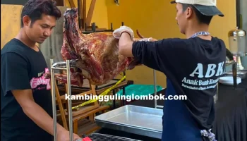 KAMBING GULING LOMBOK 3-dikonversi-dari-png